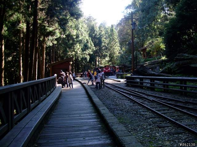 【11/19~21】一豎全制霸~從阿里山到太平山(圖爆多)