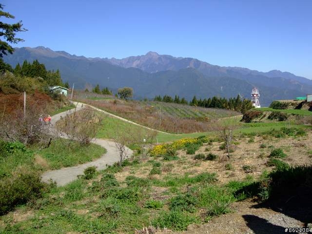 【11/19~21】一豎全制霸~從阿里山到太平山(圖爆多)