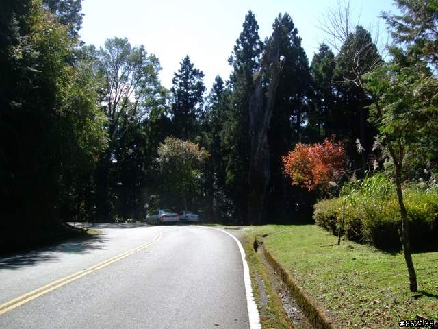 【11/19~21】一豎全制霸~從阿里山到太平山(圖爆多)