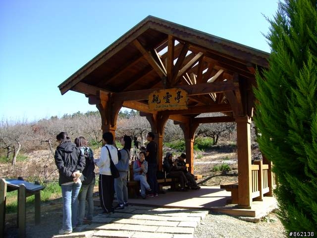 【11/19~21】一豎全制霸~從阿里山到太平山(圖爆多)