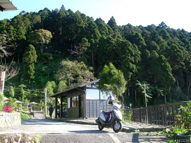 【11/19~21】一豎全制霸~從阿里山到太平山(圖爆多)