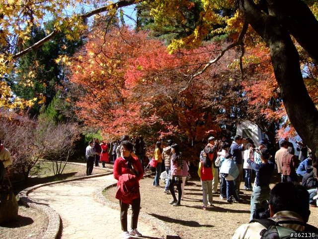 【11/19~21】一豎全制霸~從阿里山到太平山(圖爆多)