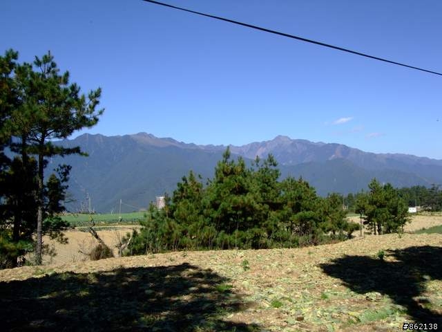 【11/19~21】一豎全制霸~從阿里山到太平山(圖爆多)