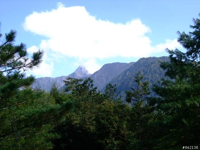 【11/19~21】一豎全制霸~從阿里山到太平山(圖爆多)
