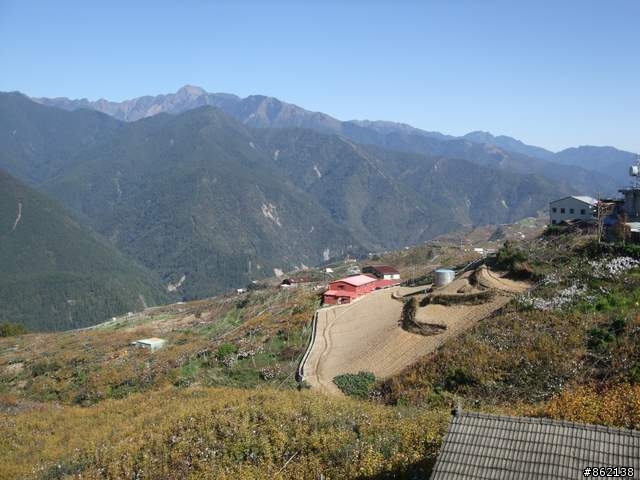 【11/19~21】一豎全制霸~從阿里山到太平山(圖爆多)
