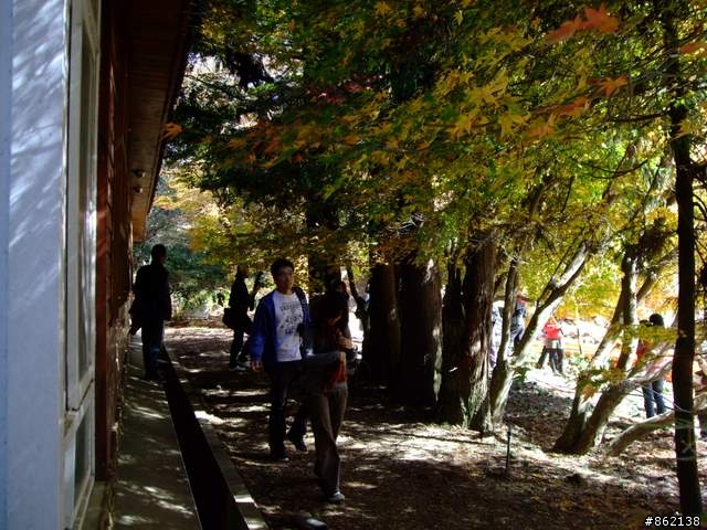 【11/19~21】一豎全制霸~從阿里山到太平山(圖爆多)