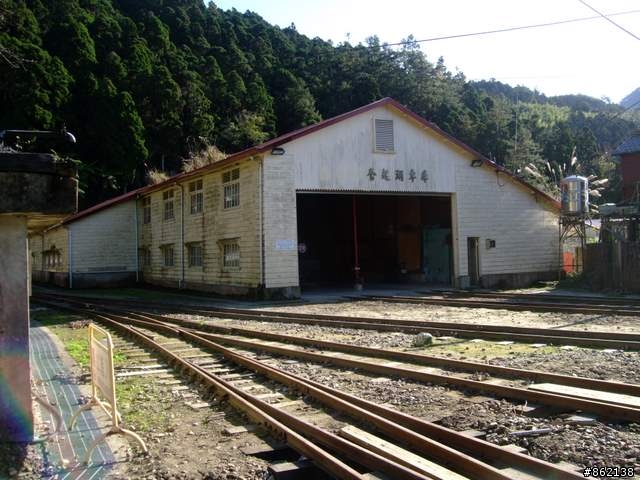 【11/19~21】一豎全制霸~從阿里山到太平山(圖爆多)