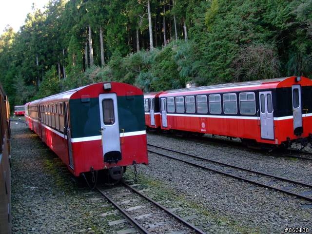 【11/19~21】一豎全制霸~從阿里山到太平山(圖爆多)
