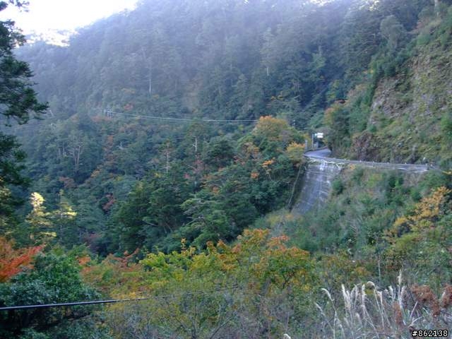 【11/19~21】一豎全制霸~從阿里山到太平山(圖爆多)