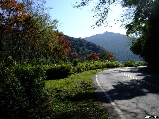 【11/19~21】一豎全制霸~從阿里山到太平山(圖爆多)