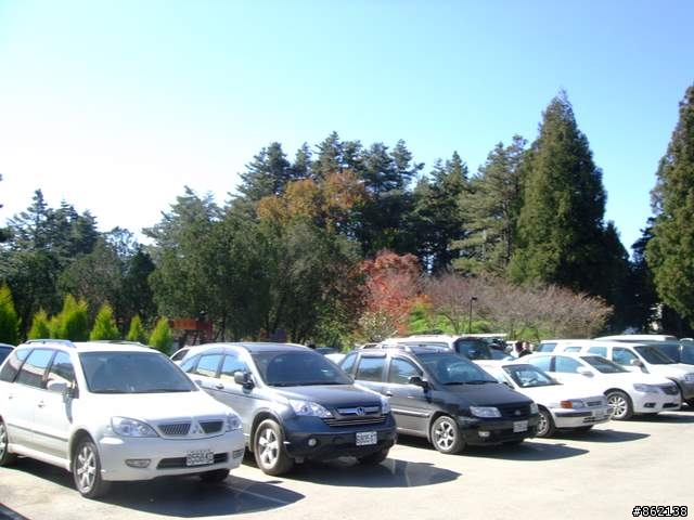 【11/19~21】一豎全制霸~從阿里山到太平山(圖爆多)