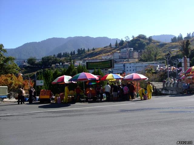 【11/19~21】一豎全制霸~從阿里山到太平山(圖爆多)