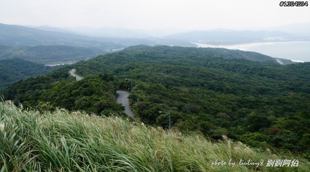 古道芒花入寒意、燈塔天眼通佛門-草嶺古道芒花季、三貂角燈塔、靈鳩山