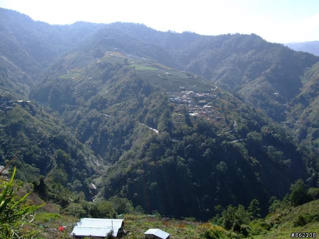 【11/19~21】一豎全制霸~從阿里山到太平山(圖爆多)