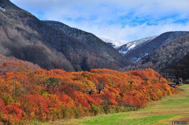 東北有三寶 --『紅葉、溫泉、吃到飽』