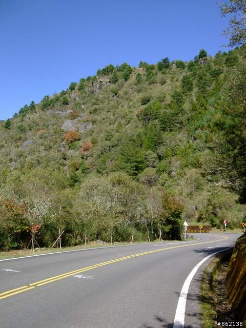 【11/19~21】一豎全制霸~從阿里山到太平山(圖爆多)