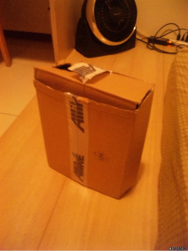 adidas originals 綠x灰 風衣連帽外套