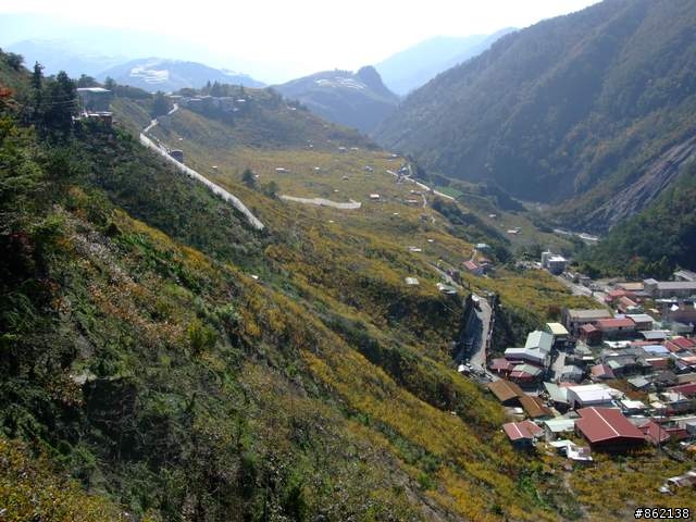 【11/19~21】一豎全制霸~從阿里山到太平山(圖爆多)