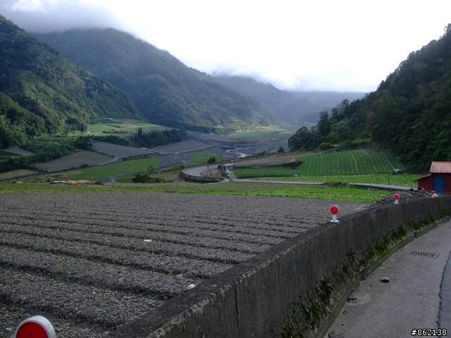 【11/19~21】一豎全制霸~從阿里山到太平山(圖爆多)