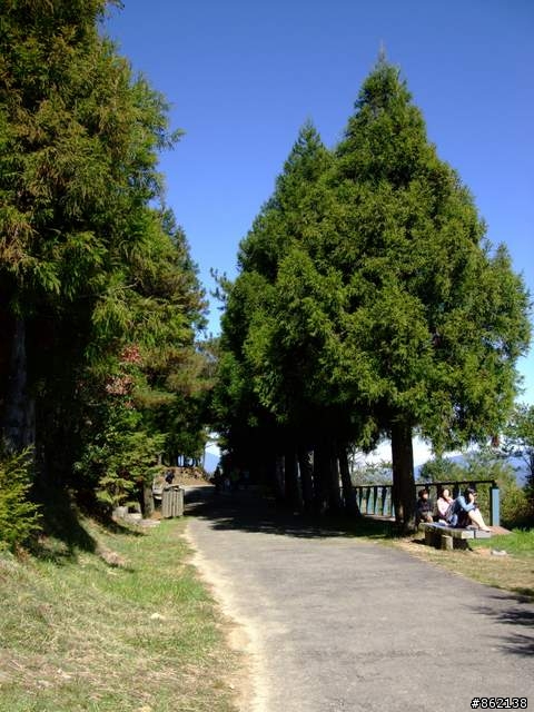 【11/19~21】一豎全制霸~從阿里山到太平山(圖爆多)