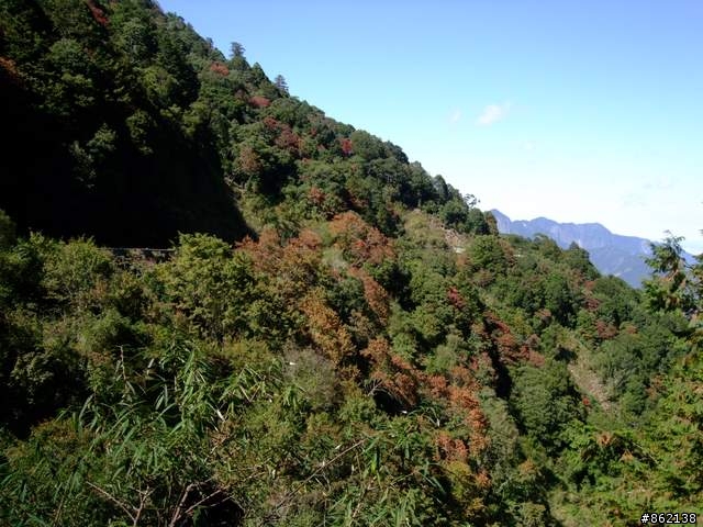 【11/19~21】一豎全制霸~從阿里山到太平山(圖爆多)