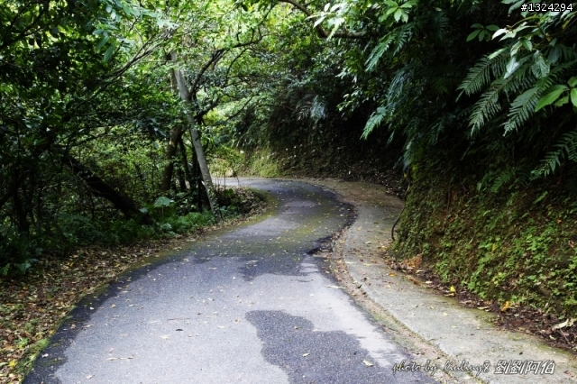 古道芒花入寒意、燈塔天眼通佛門-草嶺古道芒花季、三貂角燈塔、靈鳩山