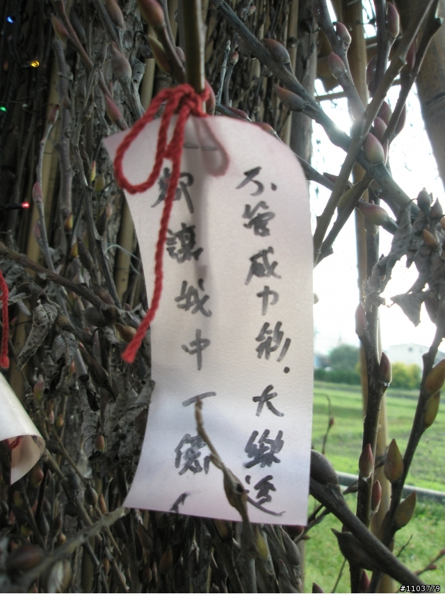 已發霉的北橫北宜雙遊記分享
