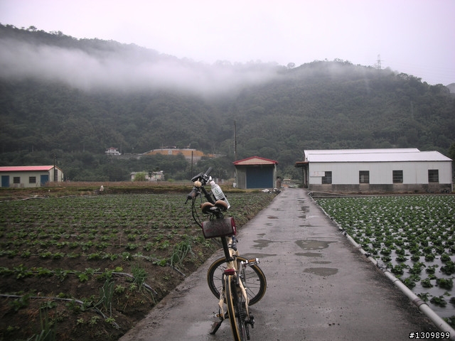 2010苗栗『遊山觀海-挑戰100』