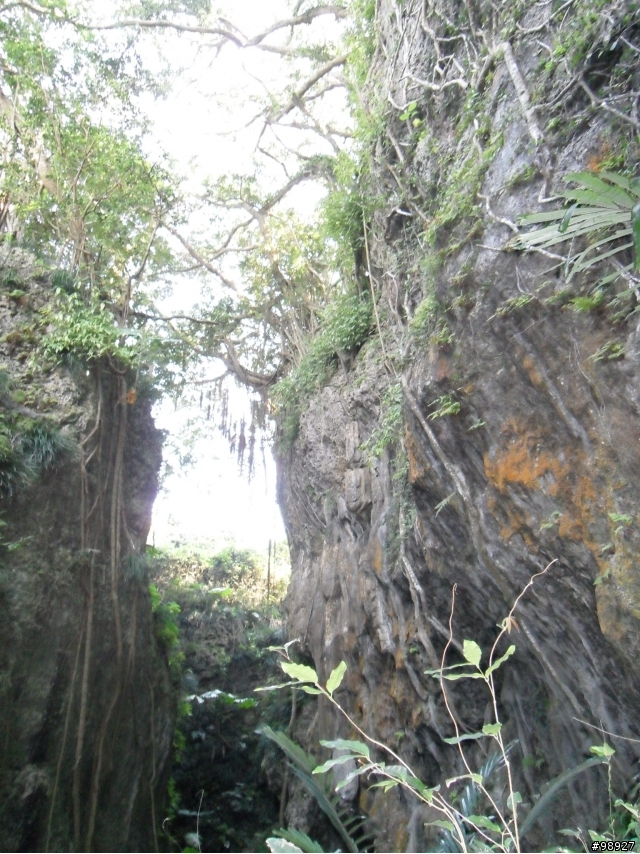 爬山趣--柴山環線