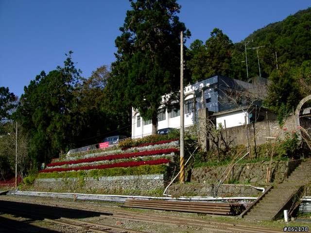 【11/19~21】一豎全制霸~從阿里山到太平山(圖爆多)