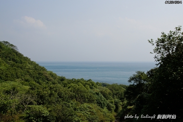 古道芒花入寒意、燈塔天眼通佛門-草嶺古道芒花季、三貂角燈塔、靈鳩山