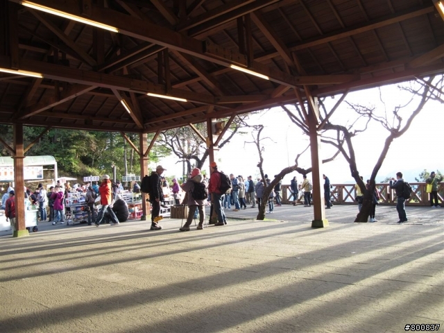 ~三天兩夜~兩座百嶽步道行(圖多...已更新第3天完全)