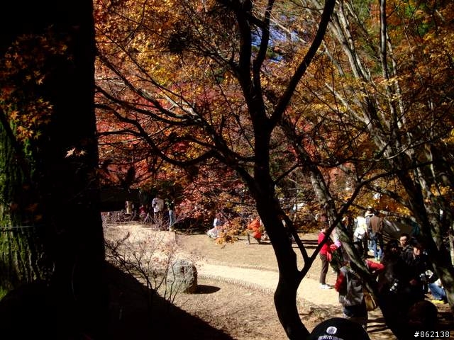 【11/19~21】一豎全制霸~從阿里山到太平山(圖爆多)
