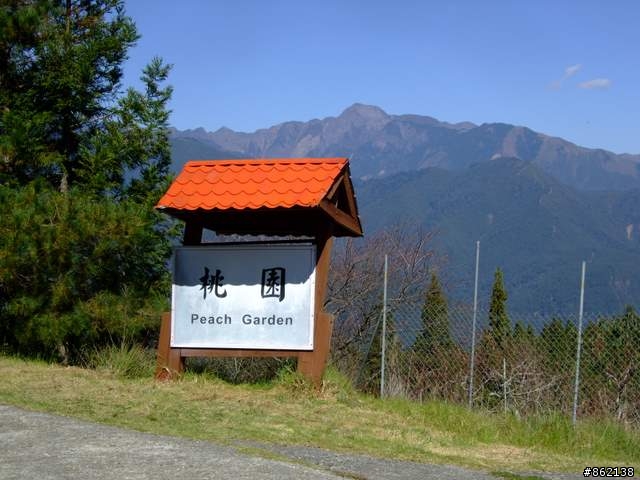【11/19~21】一豎全制霸~從阿里山到太平山(圖爆多)