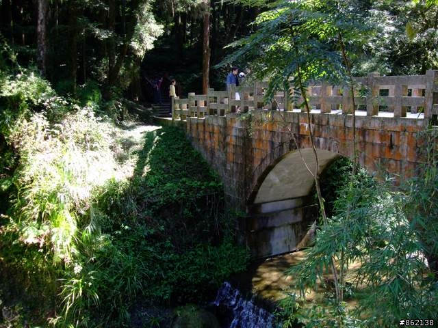 【11/19~21】一豎全制霸~從阿里山到太平山(圖爆多)