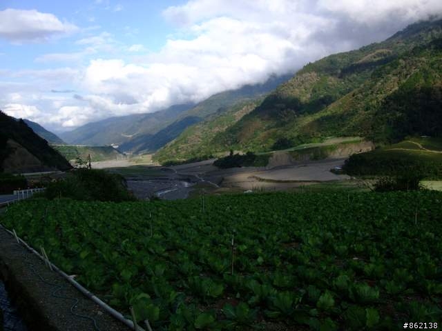 【11/19~21】一豎全制霸~從阿里山到太平山(圖爆多)