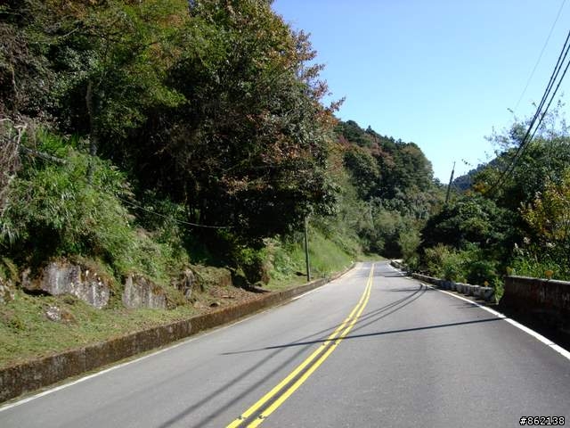 【11/19~21】一豎全制霸~從阿里山到太平山(圖爆多)