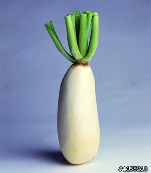 路人說 長得像菜(蔡)頭 菜頭?蔡頭?(附圖)