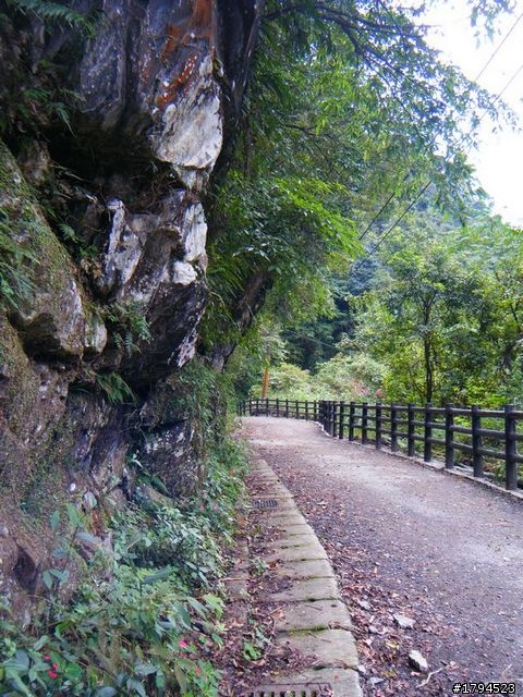 溪谷,瀑布,山林中的信賢步道