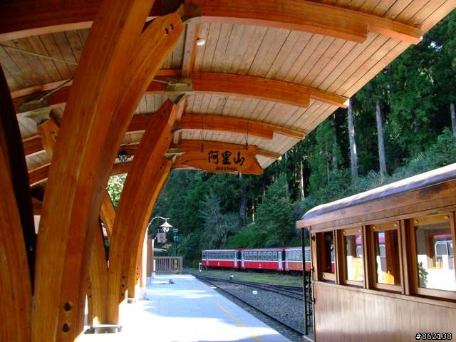 【11/19~21】一豎全制霸~從阿里山到太平山(圖爆多)