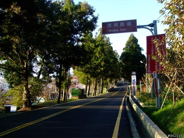 【11/19~21】一豎全制霸~從阿里山到太平山(圖爆多)