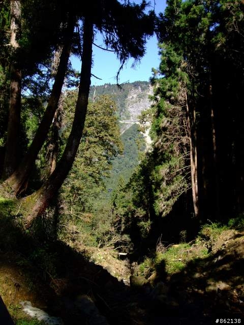 【11/19~21】一豎全制霸~從阿里山到太平山(圖爆多)