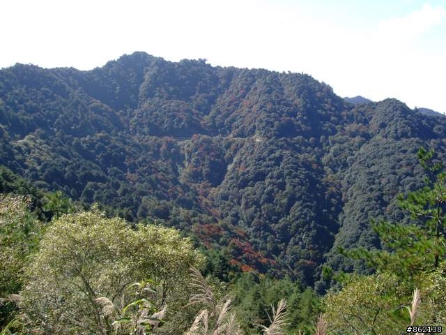 【11/19~21】一豎全制霸~從阿里山到太平山(圖爆多)