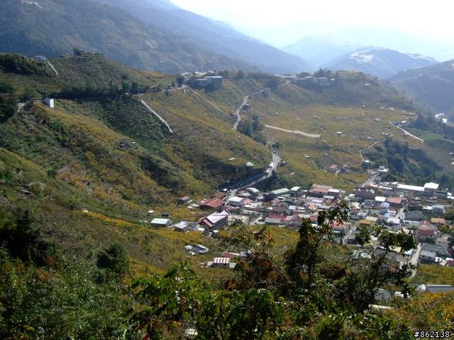 【11/19~21】一豎全制霸~從阿里山到太平山(圖爆多)