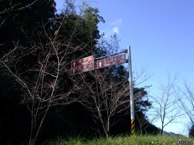 【11/19~21】一豎全制霸~從阿里山到太平山(圖爆多)