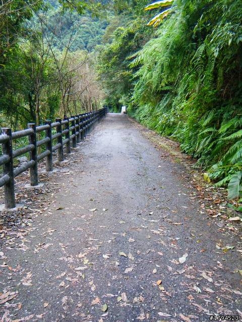 溪谷,瀑布,山林中的信賢步道