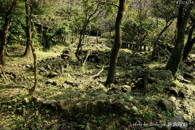 古道芒花入寒意、燈塔天眼通佛門-草嶺古道芒花季、三貂角燈塔、靈鳩山