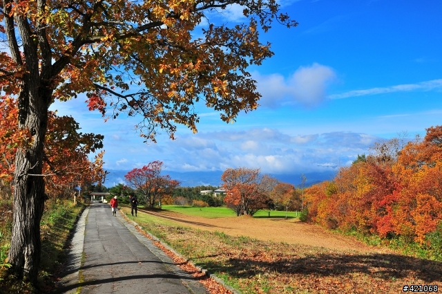 東北有三寶 --『紅葉、溫泉、吃到飽』