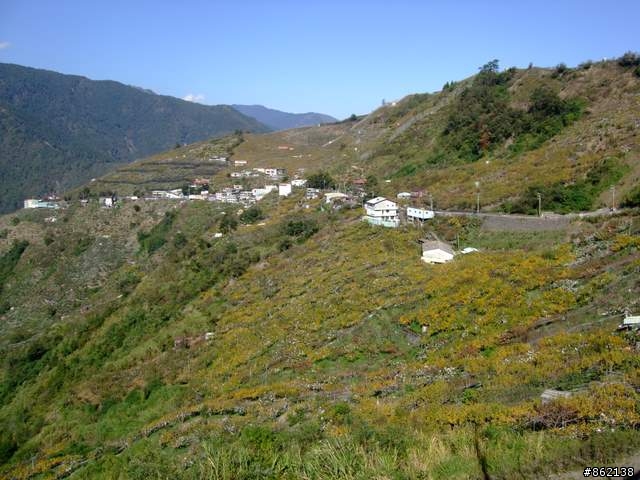 【11/19~21】一豎全制霸~從阿里山到太平山(圖爆多)