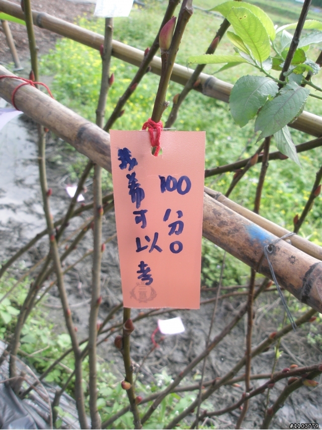 已發霉的北橫北宜雙遊記分享